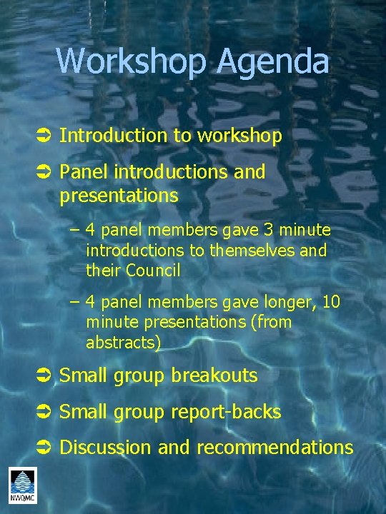 Workshop Agenda Ü Introduction to workshop Ü Panel introductions and presentations – 4 panel
