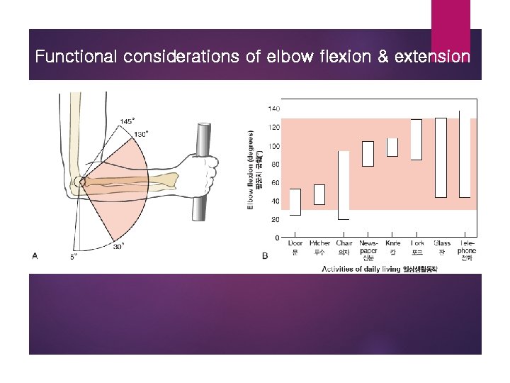 Functional considerations of elbow flexion & extension 