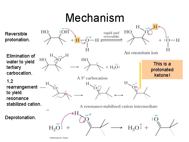 Mechanism Reversible protonation. Elimination of water to yield tertiary carbocation. 1, 2 rearrangement to