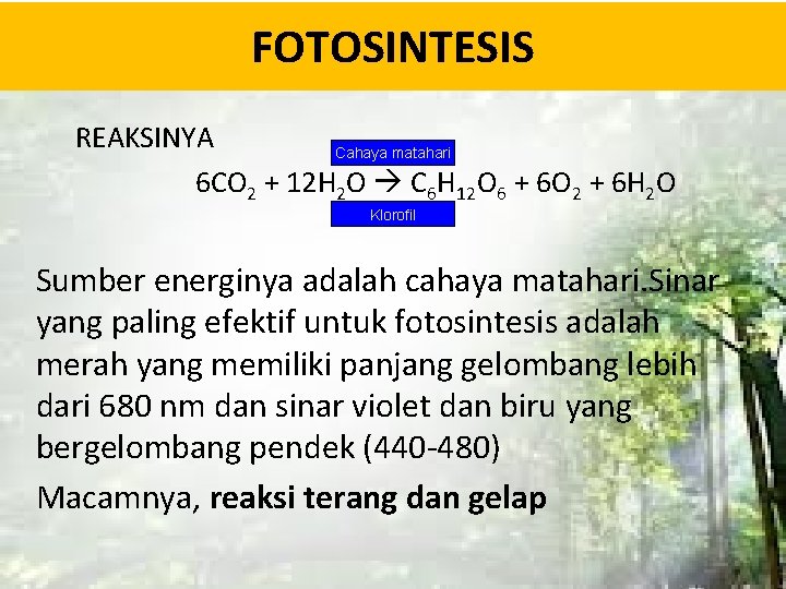 FOTOSINTESIS REAKSINYA Cahaya matahari 6 CO 2 + 12 H 2 O C 6