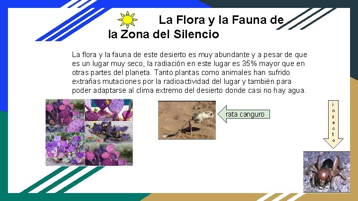 La Flora y la Fauna de la Zona del Silencio La flora y la