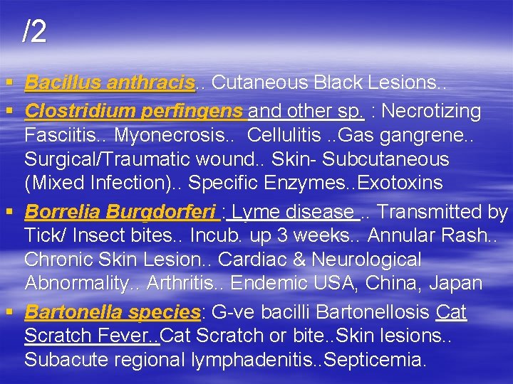 /2 § Bacillus anthracis. . Cutaneous Black Lesions. . § Clostridium perfingens and other