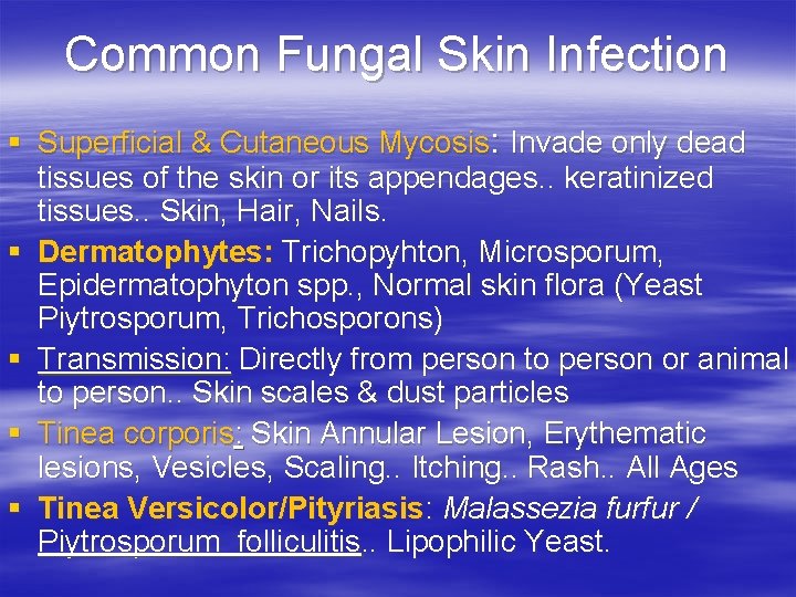 Common Fungal Skin Infection § Superficial & Cutaneous Mycosis: Invade only dead tissues of