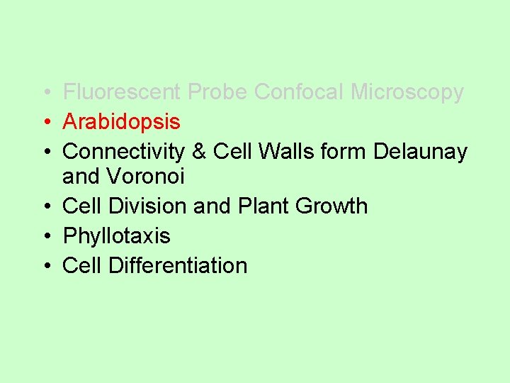 • Fluorescent Probe Confocal Microscopy • Arabidopsis • Connectivity & Cell Walls form • Fluorescent Probe Confocal Microscopy • Arabidopsis • Connectivity & Cell Walls form