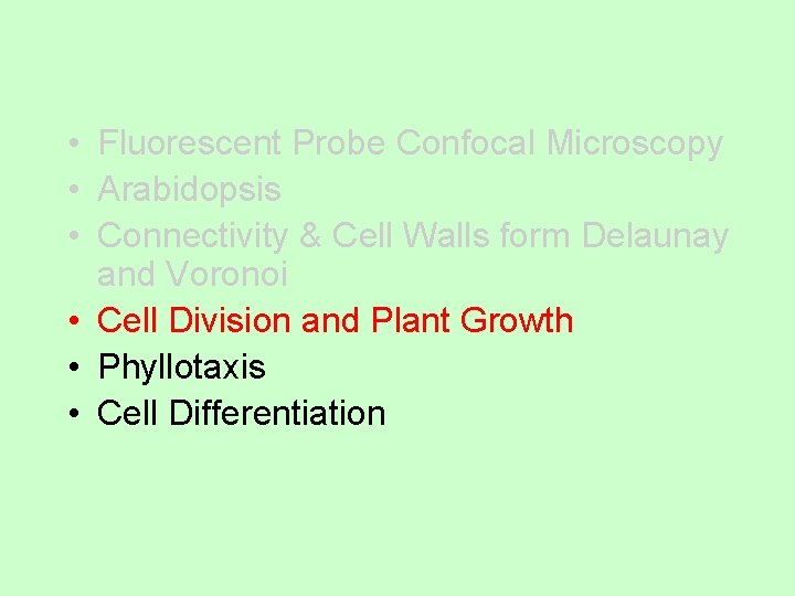 • Fluorescent Probe Confocal Microscopy • Arabidopsis • Connectivity & Cell Walls form • Fluorescent Probe Confocal Microscopy • Arabidopsis • Connectivity & Cell Walls form