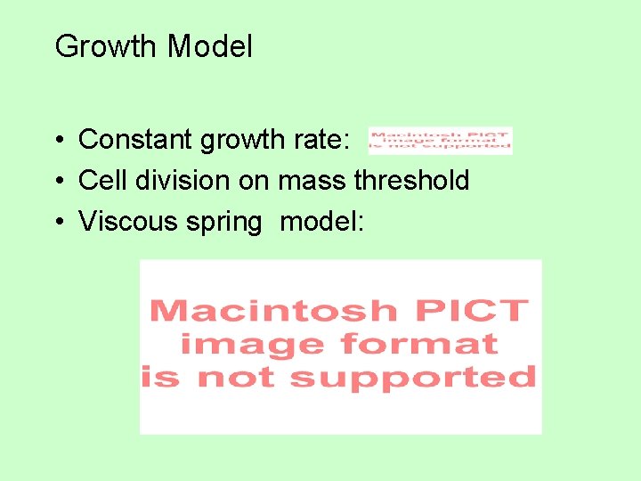 Growth Model • Constant growth rate: • Cell division on mass threshold • Viscous Growth Model • Constant growth rate: • Cell division on mass threshold • Viscous