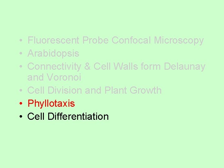  • Fluorescent Probe Confocal Microscopy • Arabidopsis • Connectivity & Cell Walls form