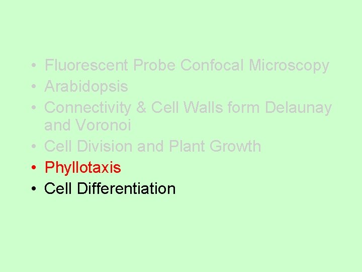 • Fluorescent Probe Confocal Microscopy • Arabidopsis • Connectivity & Cell Walls form • Fluorescent Probe Confocal Microscopy • Arabidopsis • Connectivity & Cell Walls form