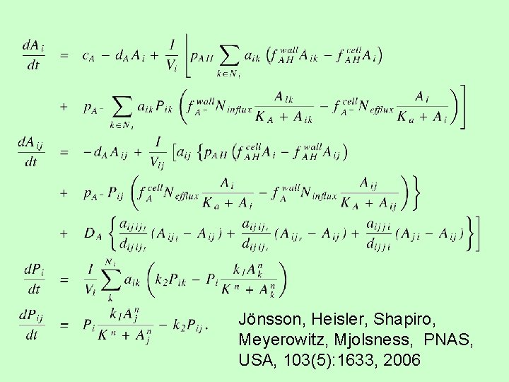 Jönsson, Heisler, Shapiro, Meyerowitz, Mjolsness, PNAS, USA, 103(5): 1633, 2006 Jönsson, Heisler, Shapiro, Meyerowitz, Mjolsness, PNAS, USA, 103(5): 1633, 2006