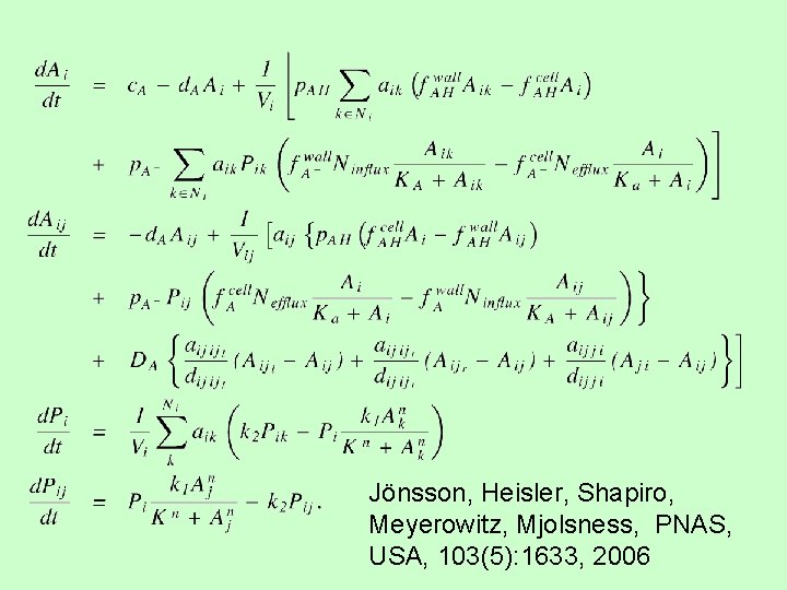 Jönsson, Heisler, Shapiro, Meyerowitz, Mjolsness, PNAS, USA, 103(5): 1633, 2006 