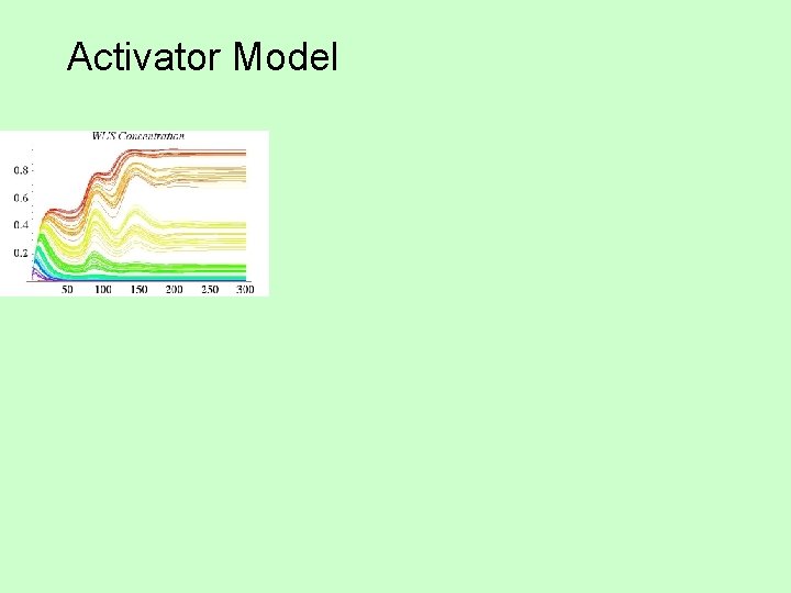 Activator Model Activator Model