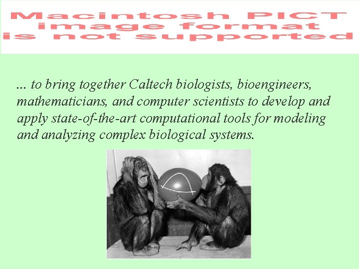 . . . to bring together Caltech biologists, bioengineers, mathematicians, and computer scientists to . . . to bring together Caltech biologists, bioengineers, mathematicians, and computer scientists to