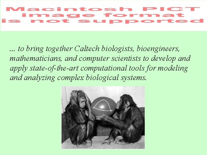 . . . to bring together Caltech biologists, bioengineers, mathematicians, and computer scientists to