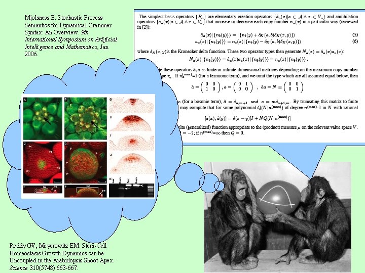 Mjolsness E. Stochastic Process Semantics for Dynamical Grammer Syntax: An Overview. 9 th International