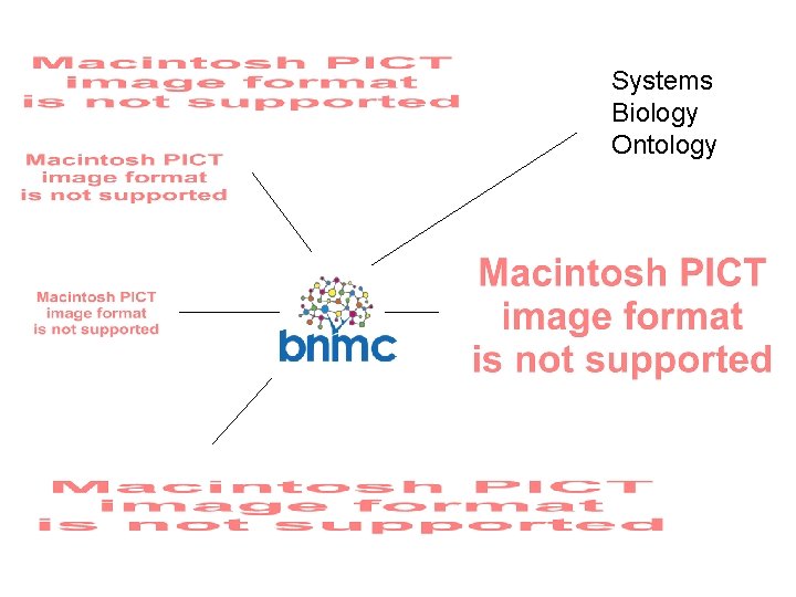 Systems Biology Ontology 