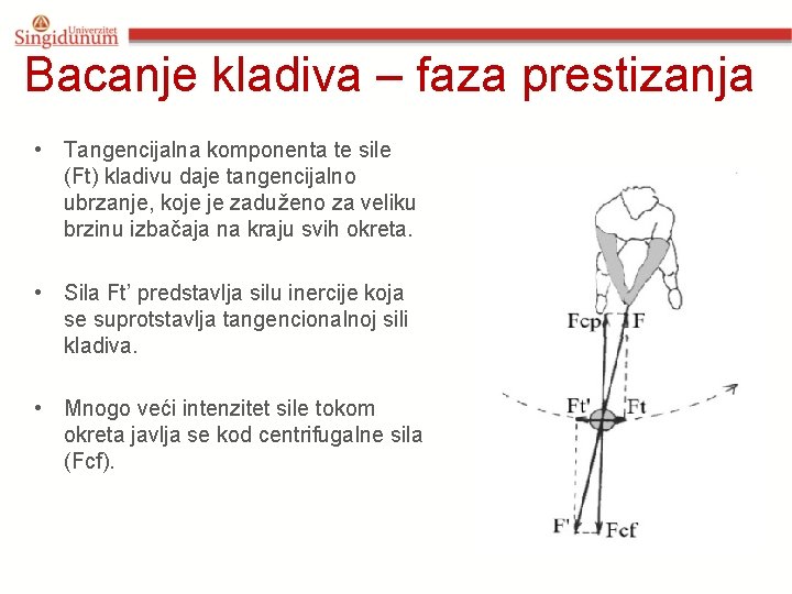 Bacanje kladiva – faza prestizanja • Tangencijalna komponenta te sile (Ft) kladivu daje tangencijalno