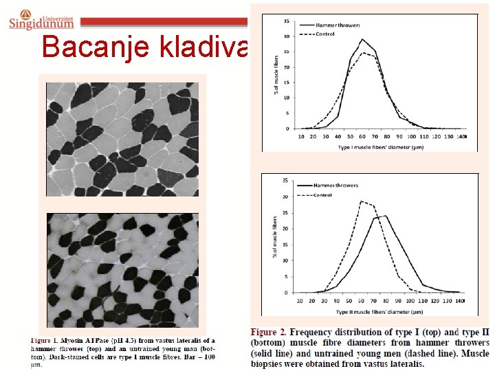 Bacanje kladiva - optimizacija 