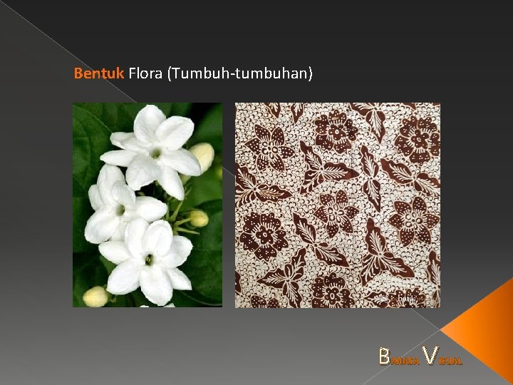 Bentuk Flora (Tumbuh-tumbuhan) B AHASA V ISUAL 