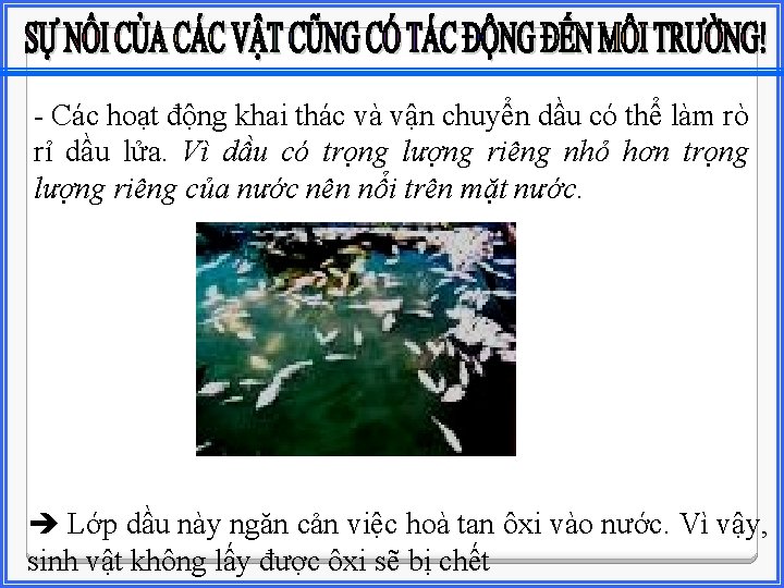 - Các hoạt động khai thác và vận chuyển dầu có thể làm rò