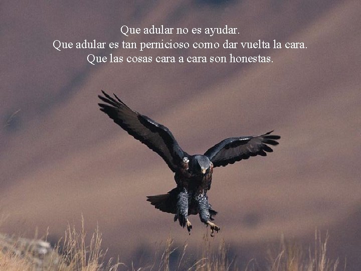 Que adular no es ayudar. Que adular es tan pernicioso como dar vuelta la