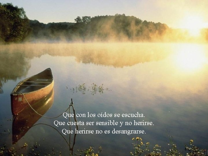 Que con los oídos se escucha. Que cuesta ser sensible y no herirse. Que