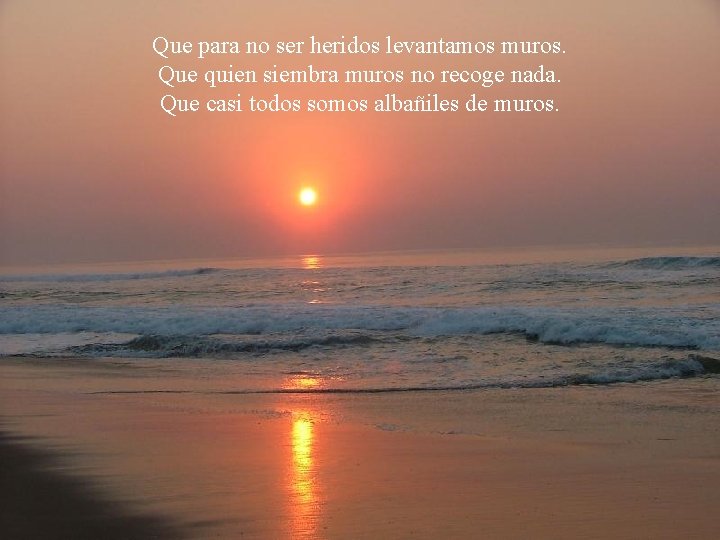 Que para no ser heridos levantamos muros. Que quien siembra muros no recoge nada.