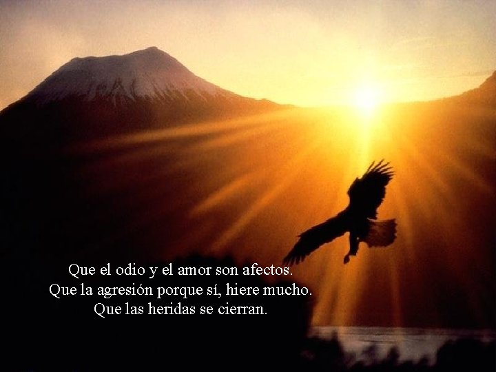 Que el odio y el amor son afectos. Que la agresión porque sí, hiere