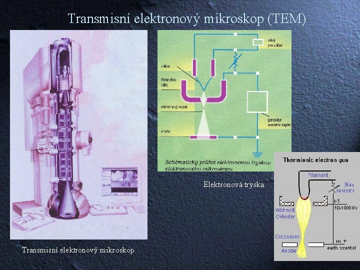 Transmisní elektronový mikroskop (TEM) Elektronová tryska Transmisní elektronový mikroskop 