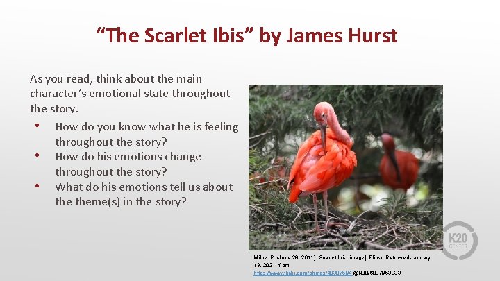 “The Scarlet Ibis” by James Hurst As you read, think about the main character’s