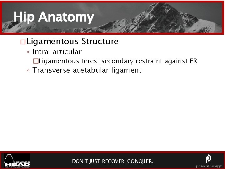 Hip Anatomy � Ligamentous Structure ◦ Intra-articular �Ligamentous teres: secondary restraint against ER ◦