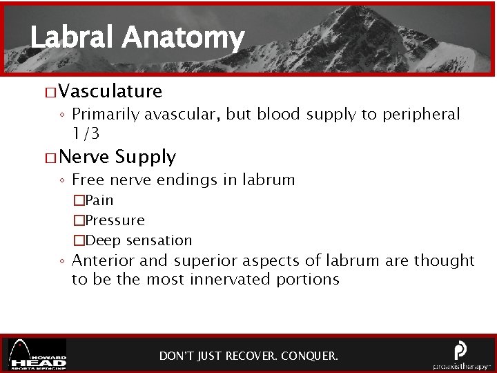 Labral Anatomy � Vasculature ◦ Primarily avascular, but blood supply to peripheral 1/3 �