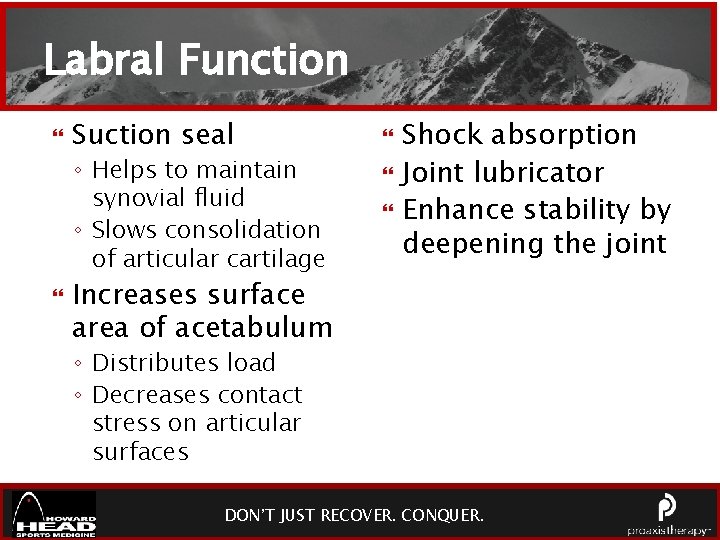 Labral Function Suction seal ◦ Helps to maintain synovial fluid ◦ Slows consolidation of