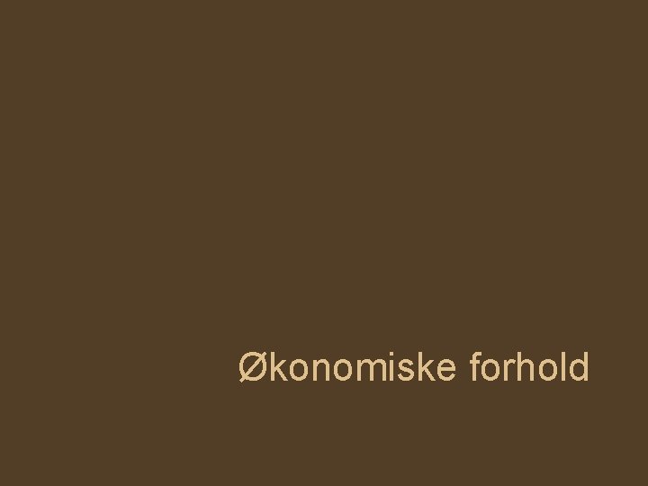 Økonomiske forhold 