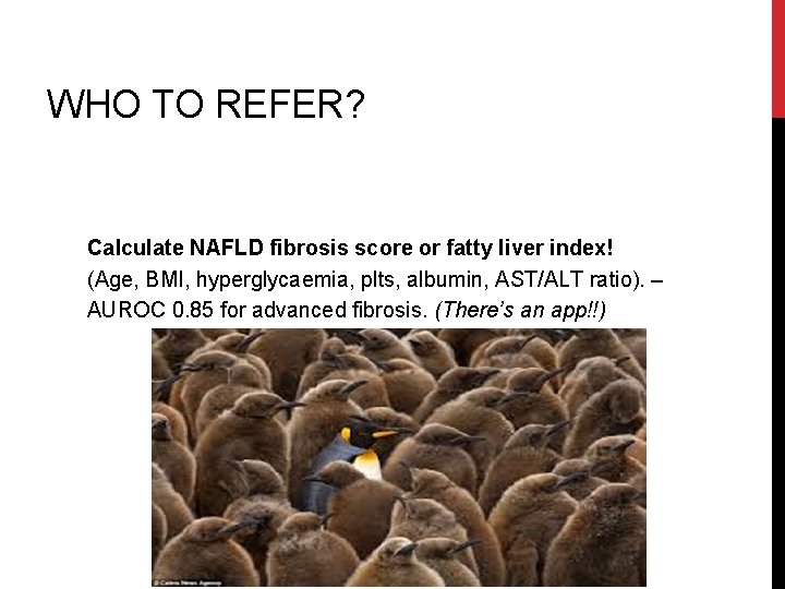 WHO TO REFER? Calculate NAFLD fibrosis score or fatty liver index! (Age, BMI, hyperglycaemia,