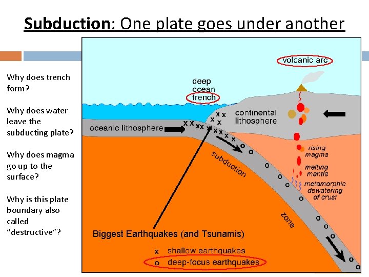 Subduction: One plate goes under another Why does trench form? Why does water leave