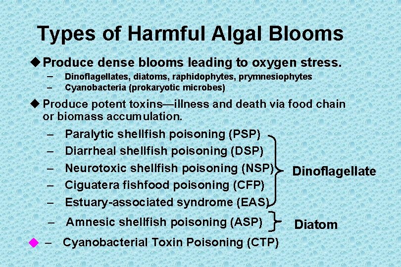 A Brief Overview of Freshwater Harmful Algal Blooms