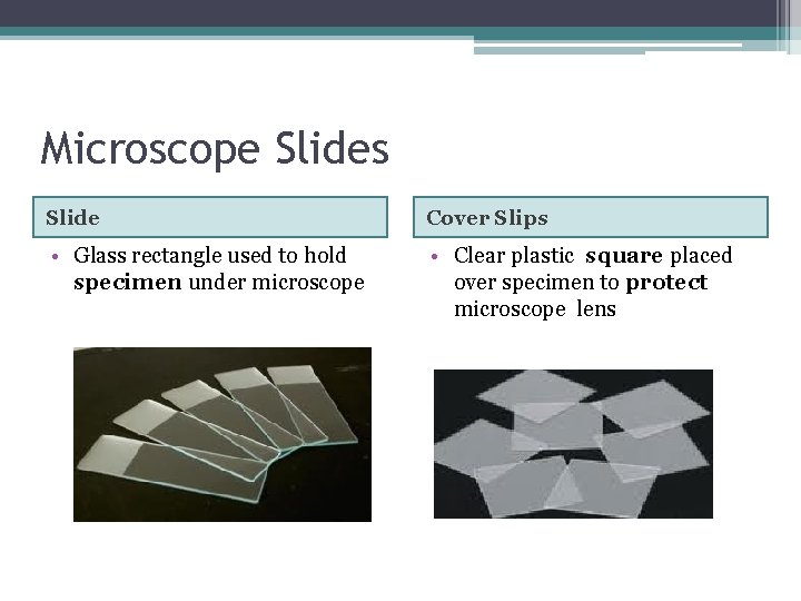 Microscope Slides Slide Cover Slips • Glass rectangle used to hold specimen under microscope Microscope Slides Slide Cover Slips • Glass rectangle used to hold specimen under microscope
