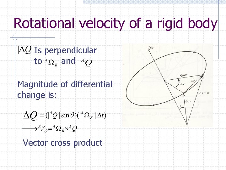 Rotational velocity of a rigid body Is perpendicular to and Magnitude of differential change