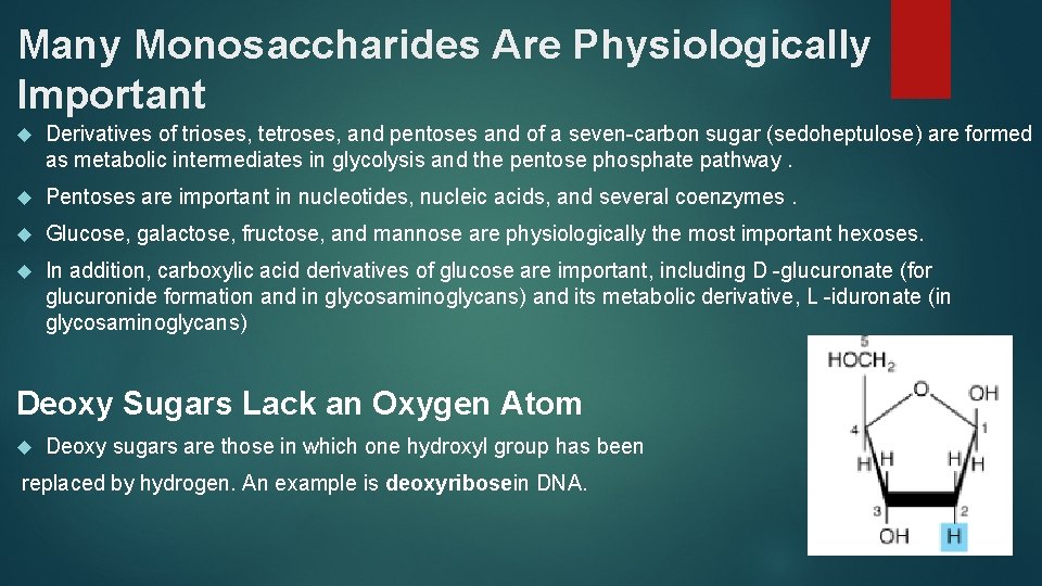 Many Monosaccharides Are Physiologically Important Derivatives of trioses, tetroses, and pentoses and of a