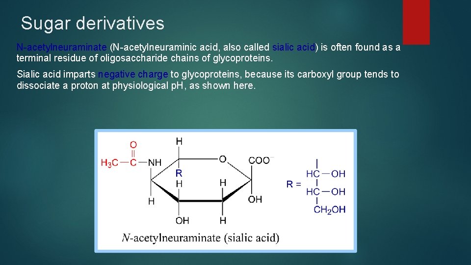 Sugar derivatives N-acetylneuraminate (N-acetylneuraminic acid, also called sialic acid) is often found as a