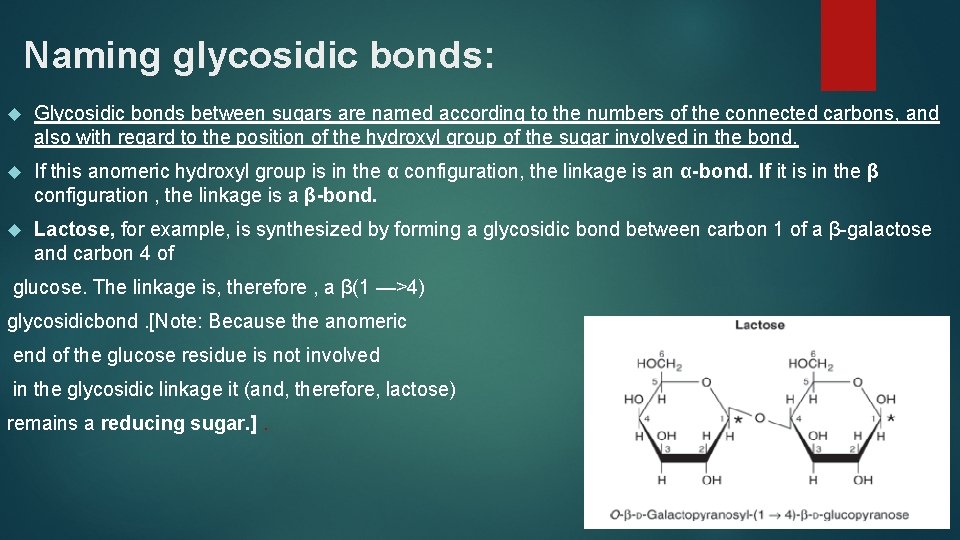 Naming glycosidic bonds: Glycosidic bonds between sugars are named according to the numbers of