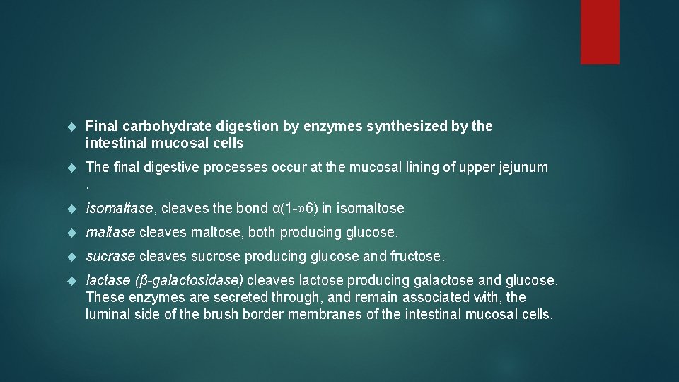  Final carbohydrate digestion by enzymes synthesized by the intestinal mucosal cells The final
