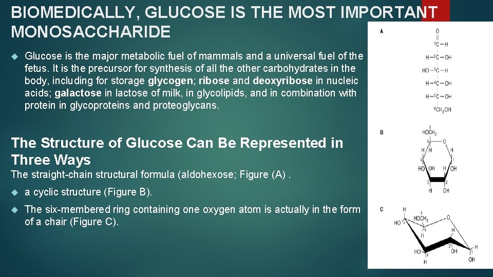 BIOMEDICALLY, GLUCOSE IS THE MOST IMPORTANT MONOSACCHARIDE Glucose is the major metabolic fuel of