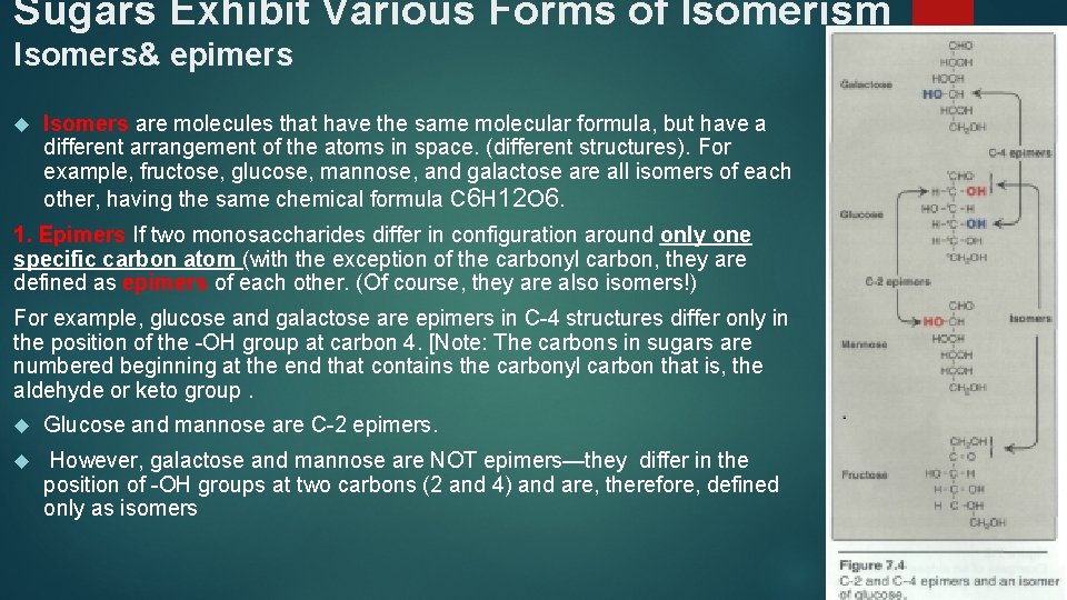 Sugars Exhibit Various Forms of Isomerism Isomers& epimers Isomers are molecules that have the