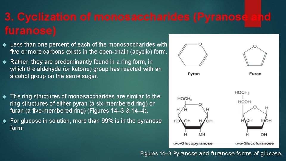 3. Cyclization of monosaccharides (Pyranose and furanose) Less than one percent of each of