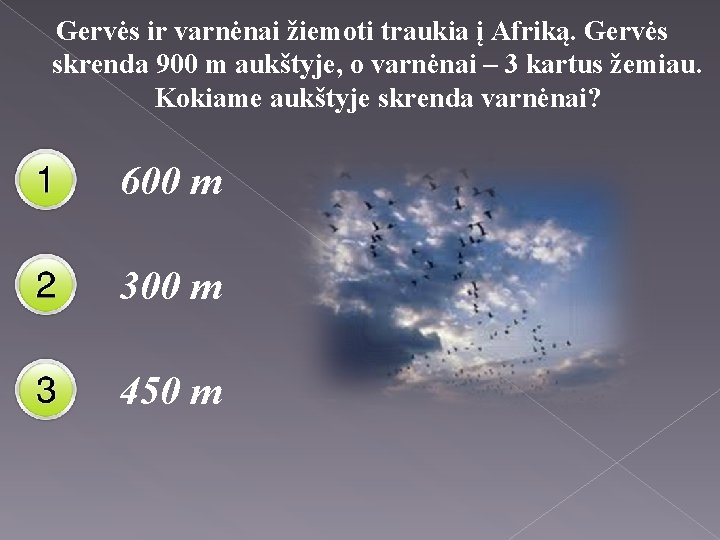 Gervės ir varnėnai žiemoti traukia į Afriką. Gervės skrenda 900 m aukštyje, o varnėnai