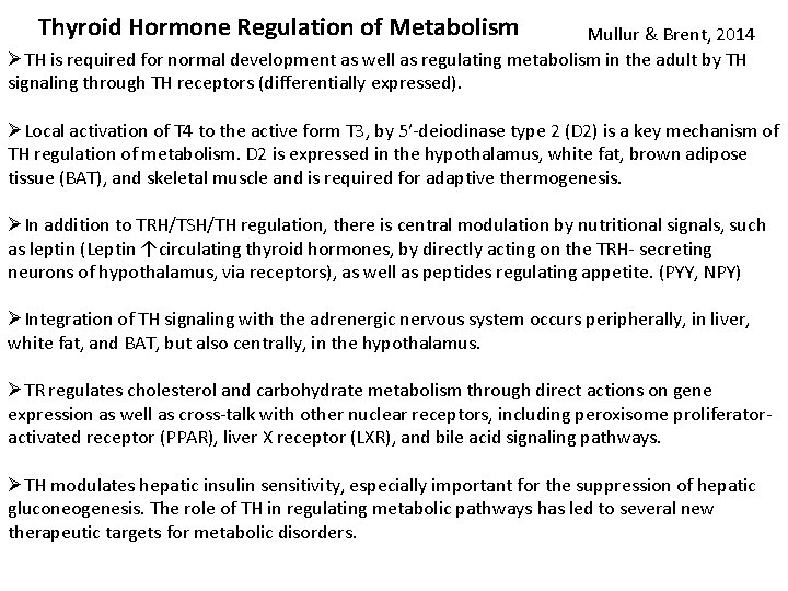 Thyroid Hormone Regulation of Metabolism Mullur & Brent, 2014 ØTH is required for normal