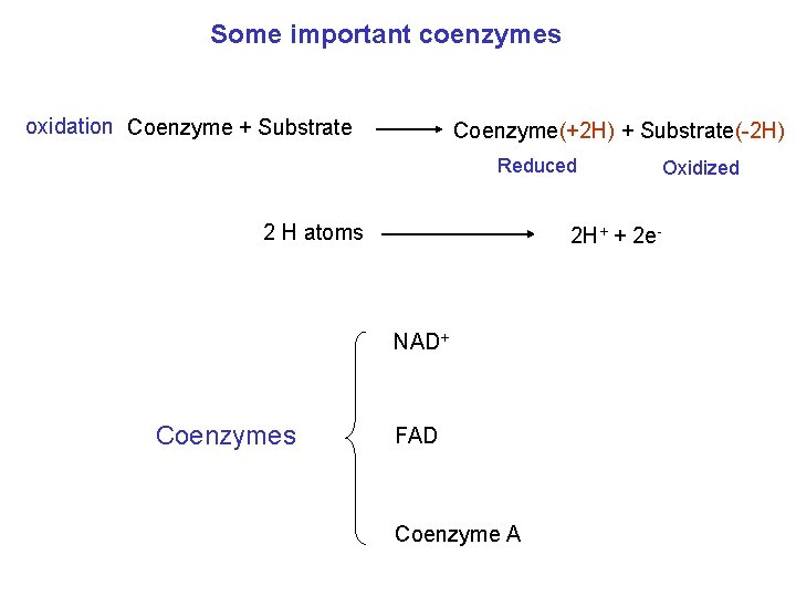 Some important coenzymes oxidation Coenzyme + Substrate Coenzyme(+2 H) + Substrate(-2 H) Reduced 2