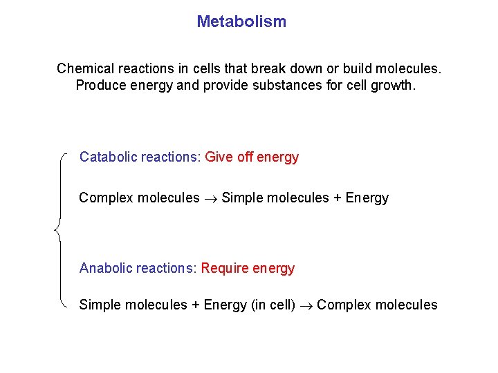 Metabolism Chemical reactions in cells that break down or build molecules. Produce energy and