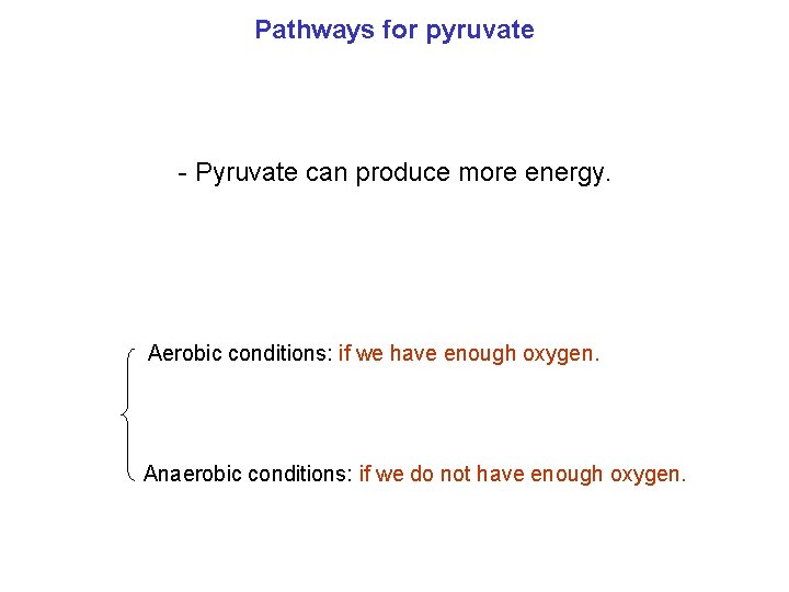 Pathways for pyruvate - Pyruvate can produce more energy. Aerobic conditions: if we have
